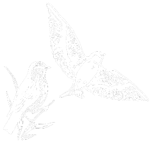 Guiding Sparrows